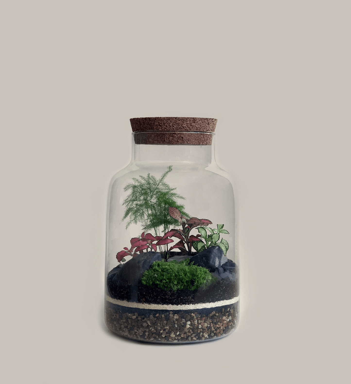 Hawkhurst Terrarium Masterclass – Water Lane - Terrapy
