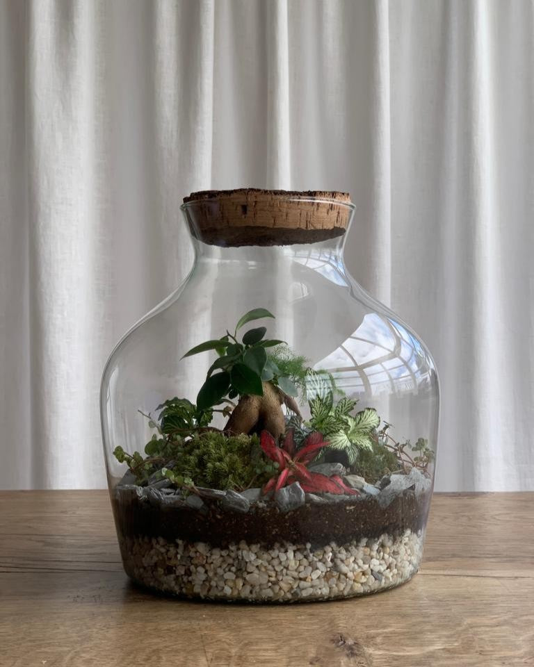 Hawkhurst Terrarium Masterclass