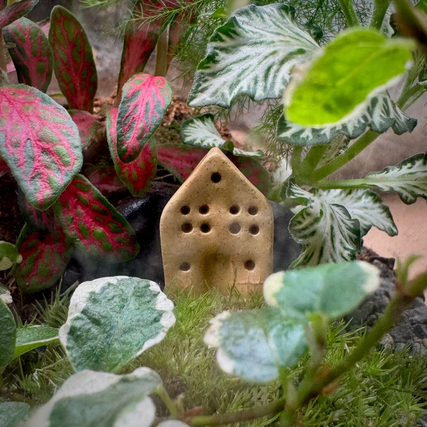 Handmade Fired Ceramic House - Terrapy