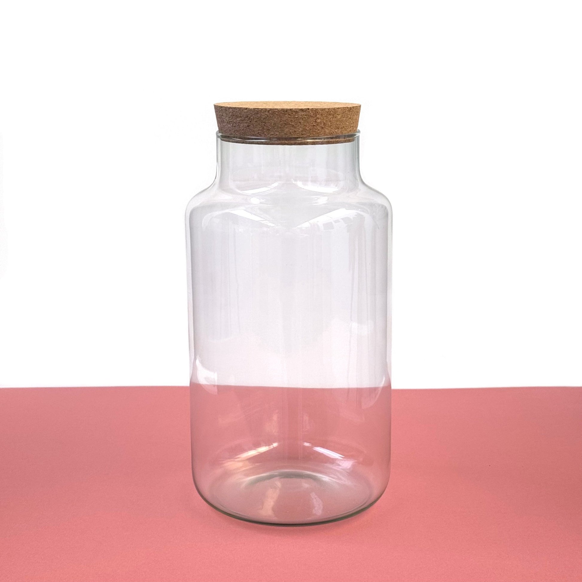 Handmade Terrarium Vessel - Large (8L) - Terrapy