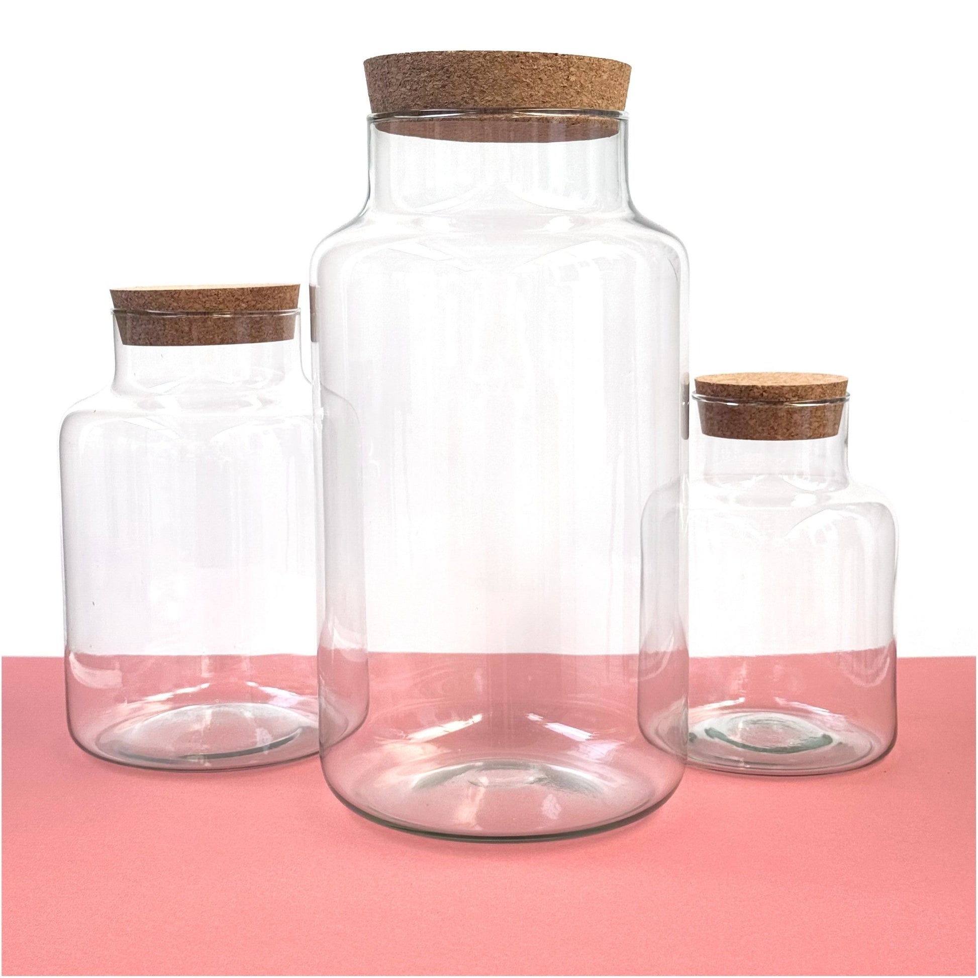 Handmade Terrarium Vessel - Large (8L) - Terrapy