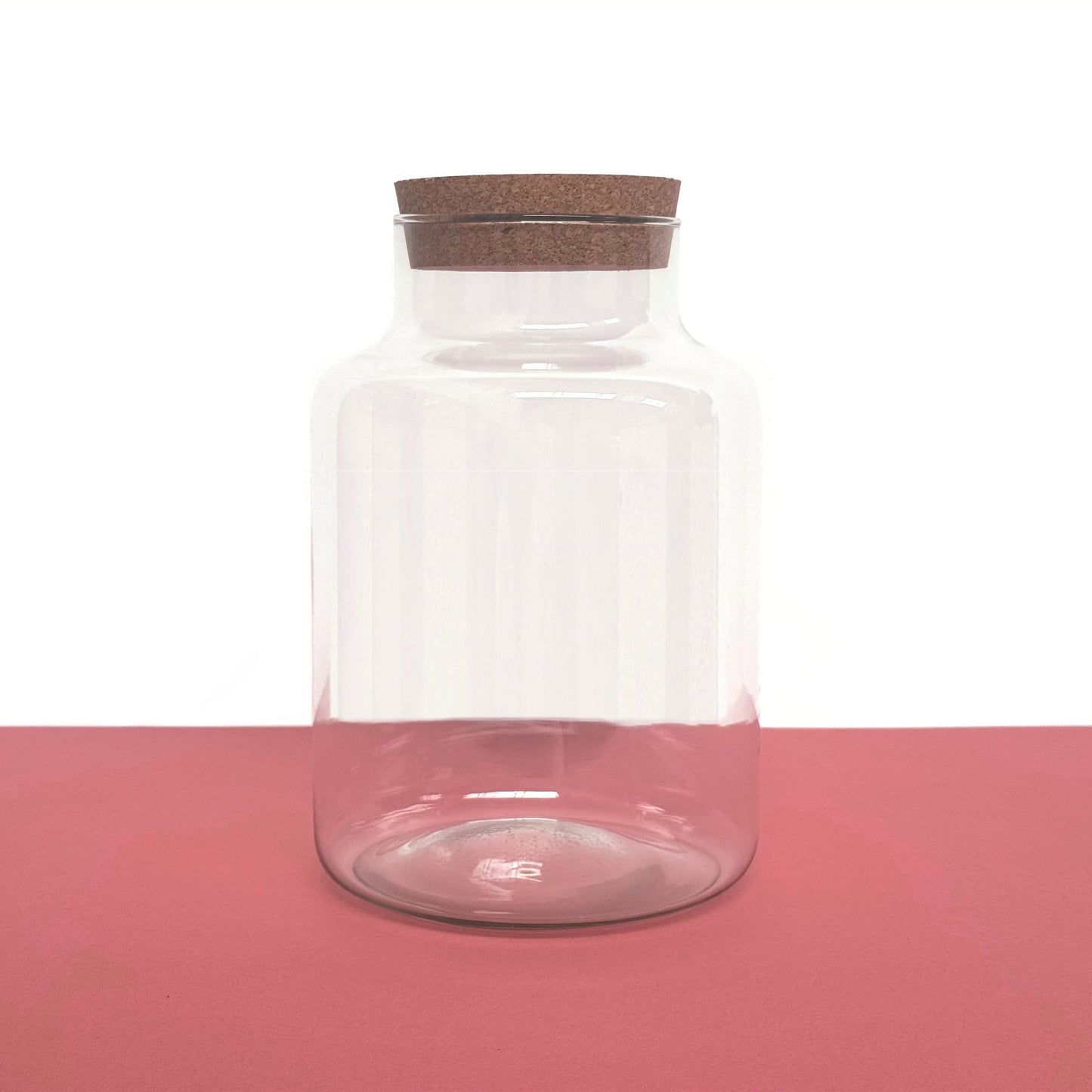 Handmade Terrarium Vessel - Medium (4L) - Terrapy