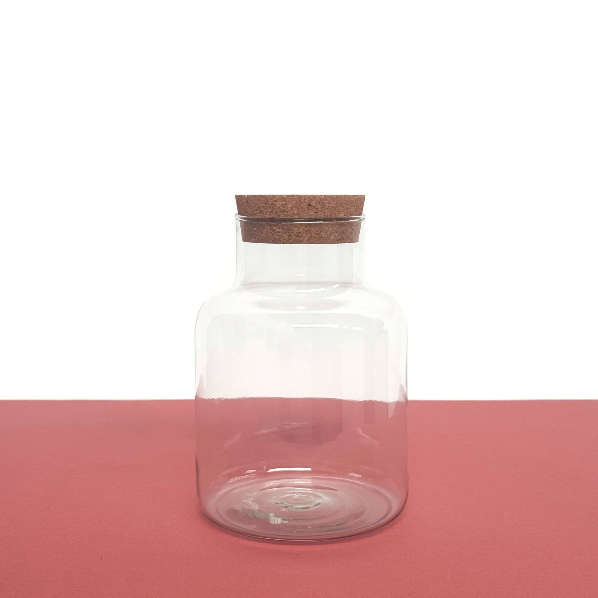 Handmade Terrarium Vessel - Small (2L) - Terrapy