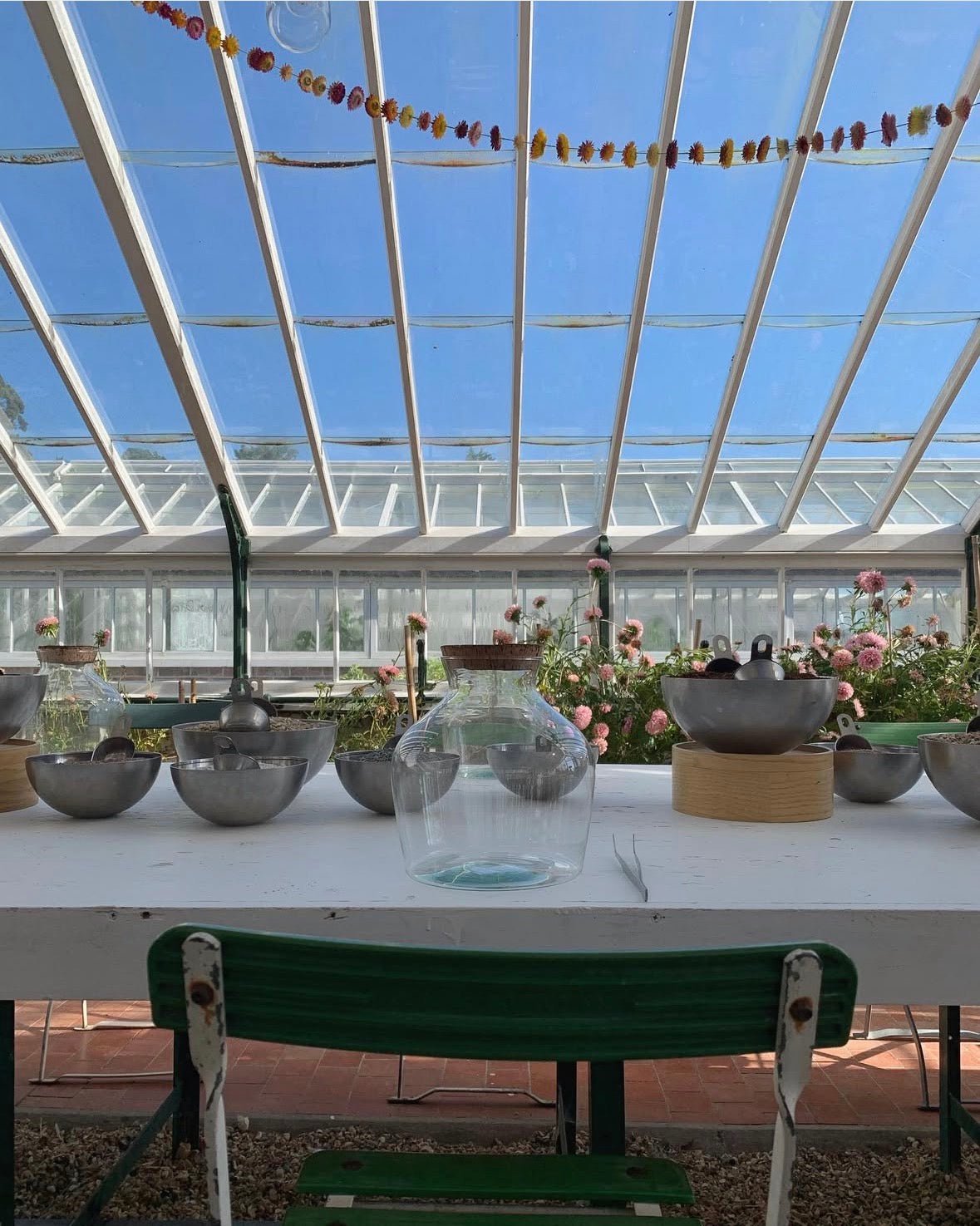 Hawkhurst Terrarium Masterclass – Water Lane - Terrapy