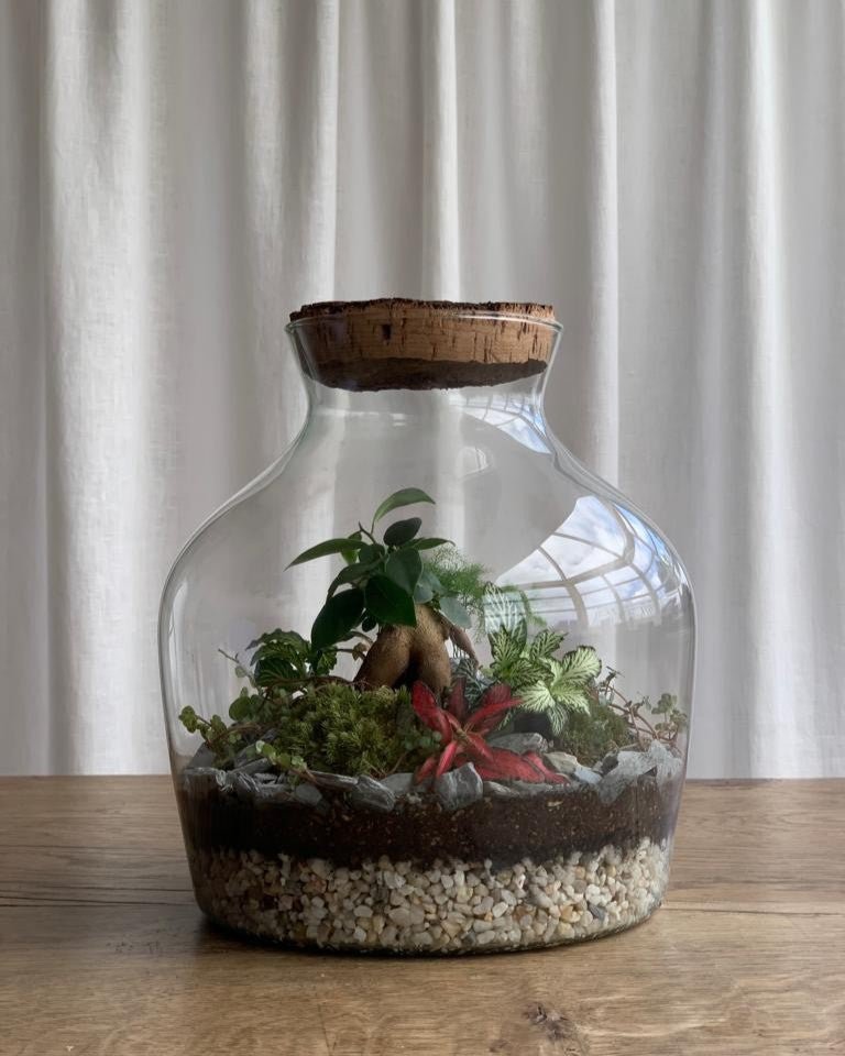 Hawkhurst Terrarium Masterclass – Water Lane - Terrapy