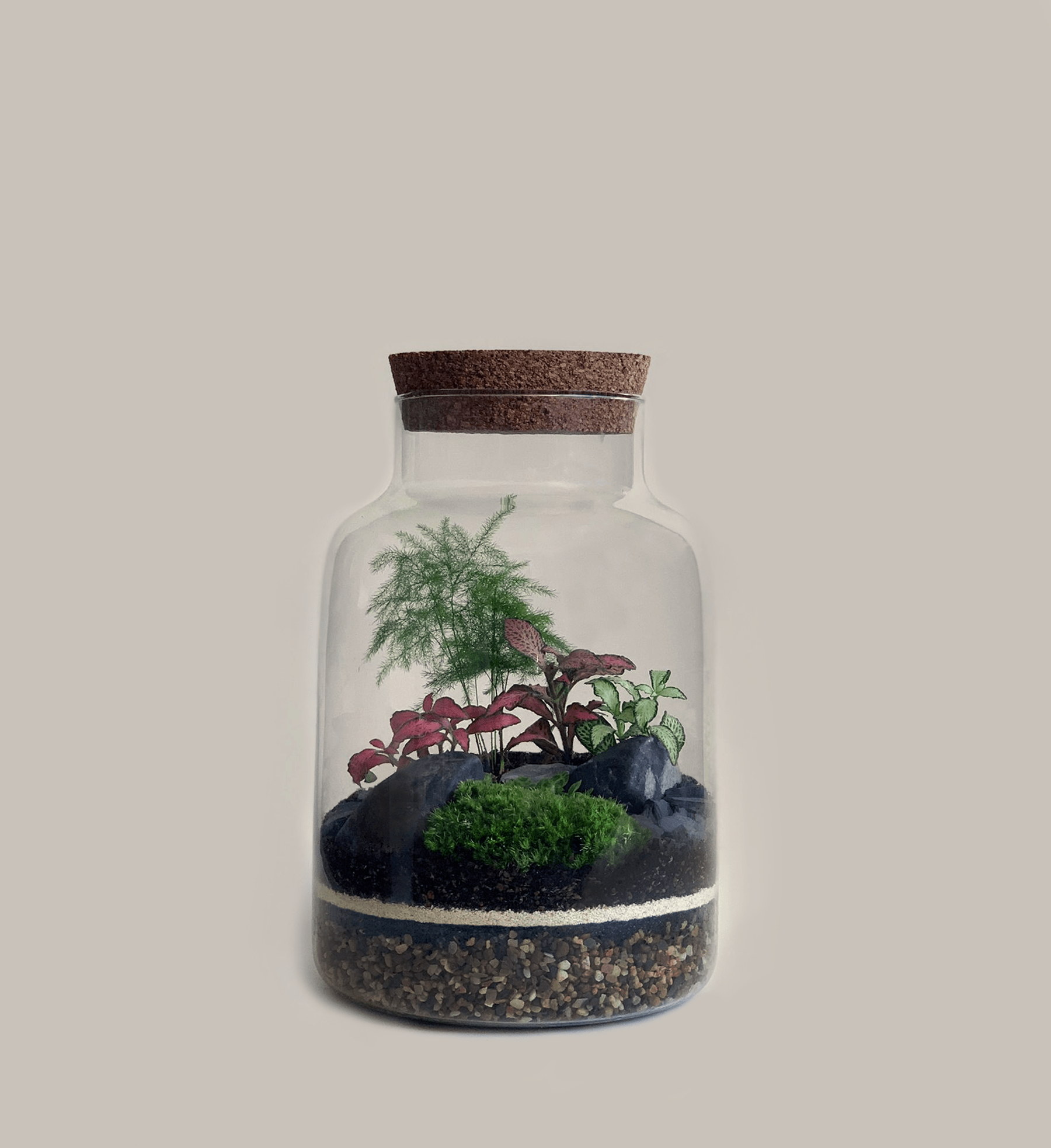 Hawkhurst Terrarium Masterclass – Water Lane - Terrapy