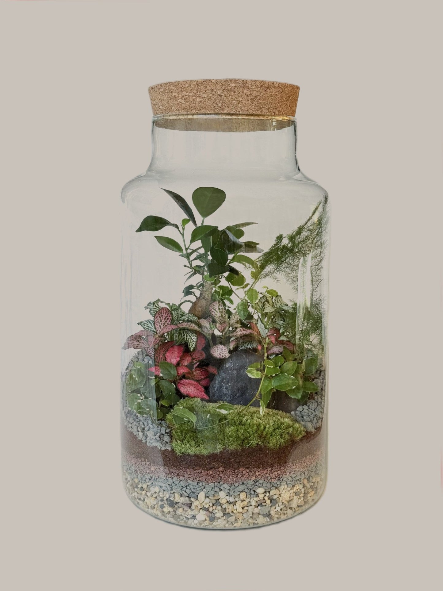 Hawkhurst Terrarium Masterclass – Water Lane - Terrapy