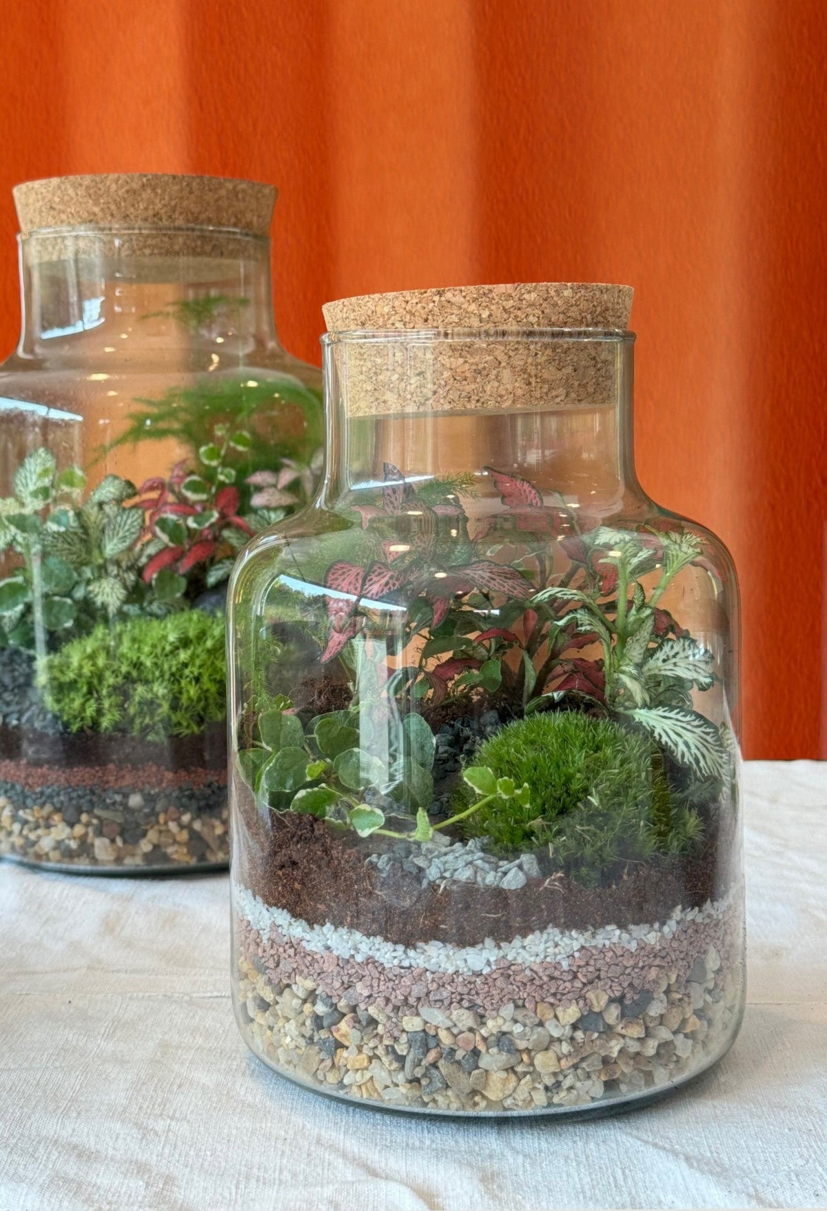 Terrarium Masterclass - Gift Experience - Terrapy